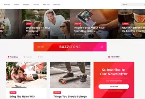 Buzz Stone - Magazine & Viral Blog WordPress Theme