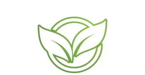 Green eco leaf nature logo template v1 - TemplateMonster