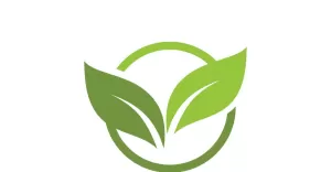 Leaf eco green tree logo nature template design v23