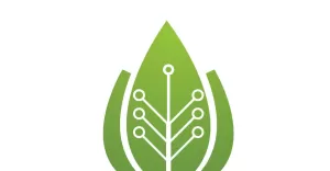 Leaf eco green tree logo nature template design v26