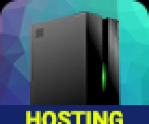 Professional Services  Hosting Server Banner (PS008)