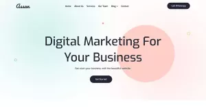 Assan - Digital Marketing Agency WordPress Theme