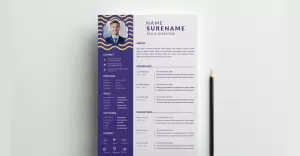 Blue resume curriculum template design - TemplateMonster