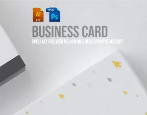 Business Card Design For Web Design And Developer PSD Template