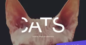 Cat Moto CMS 3-sjabloon