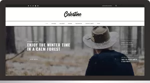 Celestine - A Modern WordPress Blog