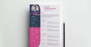 Cv template Layout with Pink Accents - TemplateMonster