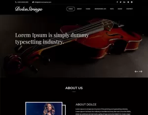 Dolcestrings - Music Band PSD Template - TemplateMonster