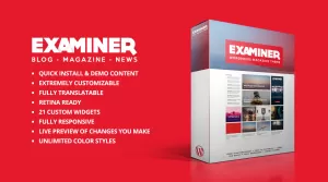 Examiner - Magazine Theme