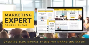 Expert - Blog Drupal Theme for Marketer