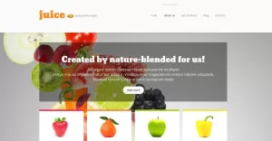 Food Store Responsive WordPress Theme - TemplateMonster