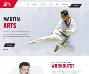 Free Martial Arts WordPress Theme download For Kungfu Taekwondo