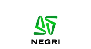 Green N A - Startup Logo Concept