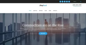 Hayford - Investment Consulting Services Responsive WordPress Theme