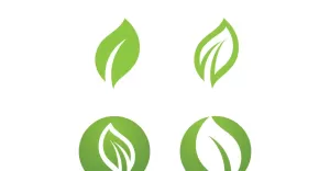 Leaf  Eco Green Nature Logo Vector V2 - TemplateMonster
