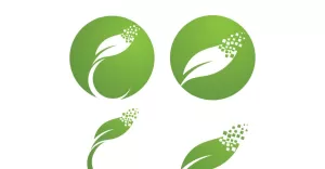 Leaf  Eco Green Nature Logo Vector V6 - TemplateMonster