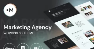 Marketing Agency -  Website Template for marketing services WordPress Theme