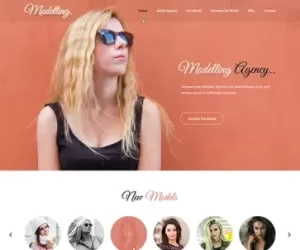 Model WordPress theme for celebrity modelling fashion house designers