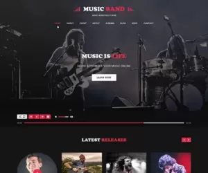 Music Producer WordPress theme for music producers bands albums song