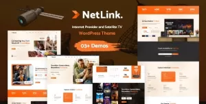 Netlink - Internet Service Provider & Technology Website Adobe XD