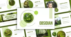Obsidian Environment Presentation Template - TemplateMonster
