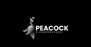 Peacock Color Gradient Logo Style