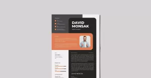 Perfect Example Of CV Resume Template - TemplateMonster