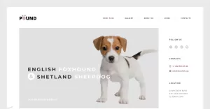 Pound - Free Animal Care Responsive Website Template