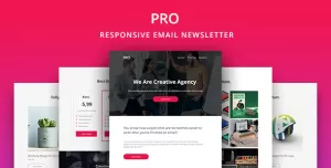 Pro - Agency Email Newsletter Template