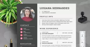 Professional Resume Template  MS Word CV Design
