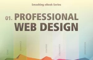Professional Web Design eBook Website Template