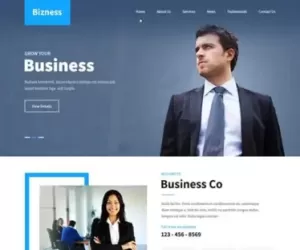 Responsive Business WordPress Theme for your business website  SKT