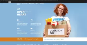 Solution for Charity Sites Joomla Template - TemplateMonster