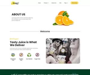 Swegerr - Juice & Fresh Drink Elementor Template Kit