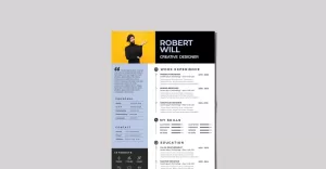 You Agree with Resume  CV Template