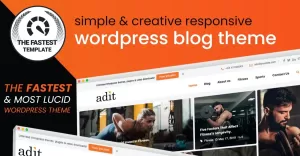 Adit - Blogging Made Easy WordPress Theme - TemplateMonster