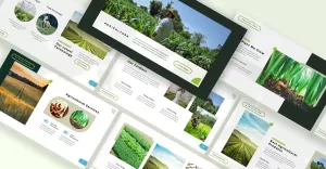 Agricultura — Agriculture Keynote Template - TemplateMonster