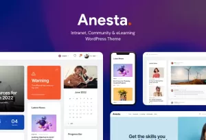 Anesta - Intranet, Extranet, Community and BuddyPress WordPress Theme