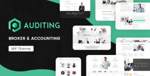 Auditing  Accounting Consultant, Finance WordPress Theme