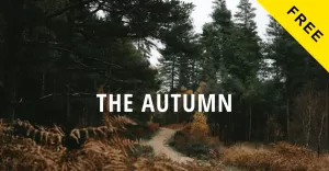 Autumn Lite - Free Creative Portfolio Website Drupal Template