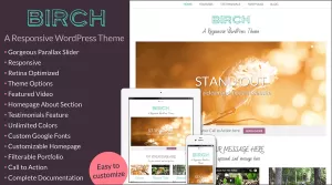 Birch - A Responsive WordPress Theme