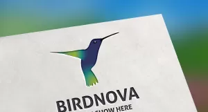 Birdnova Logo Template