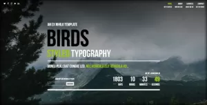 Birds  Responsive Coming Soon Page