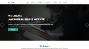 Bizpro - Responsive Creative HTML Business Template - Themes ...