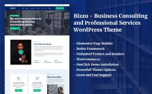 Bizzu - Business Consulting and Professional Services