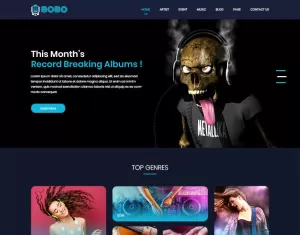 Bobo Music - Music Store PSD Template - TemplateMonster