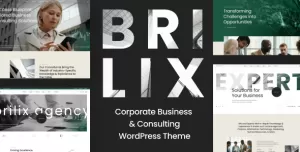 Brilix - Corporate Business & Consulting WordPress Theme