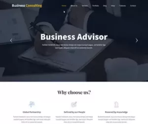 Business Consulting WordPress theme consultation expert advice training