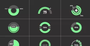 Circle Infographic - After Effects Template - TemplateMonster