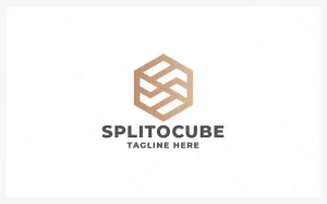 Cube Line Split Pro Logo Template